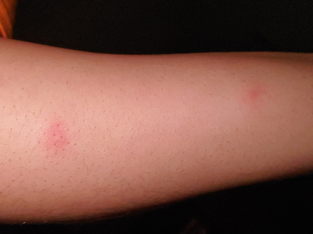 Fairfield by Marriott Inn & Suites Meridian主图