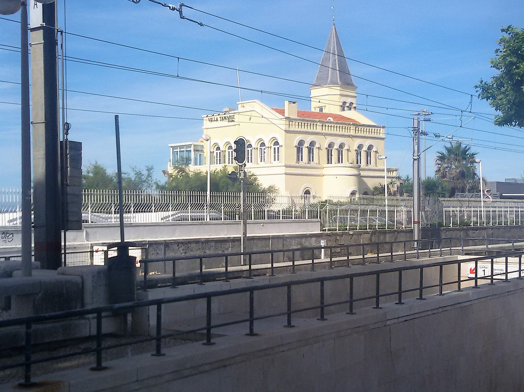 Jardim do Estoril景点图片
