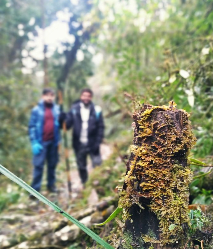 Fambong Lho Wildlife Sanctuary-甘托克必去景点