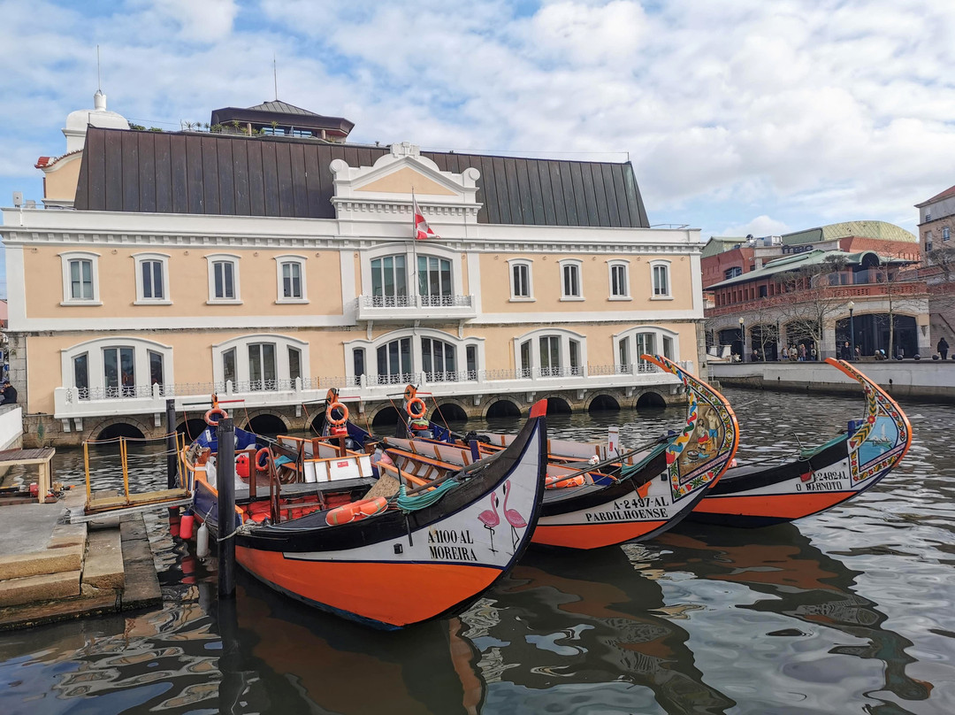 Antiga Capitania do Porto de Aveiro-阿威罗必去景点