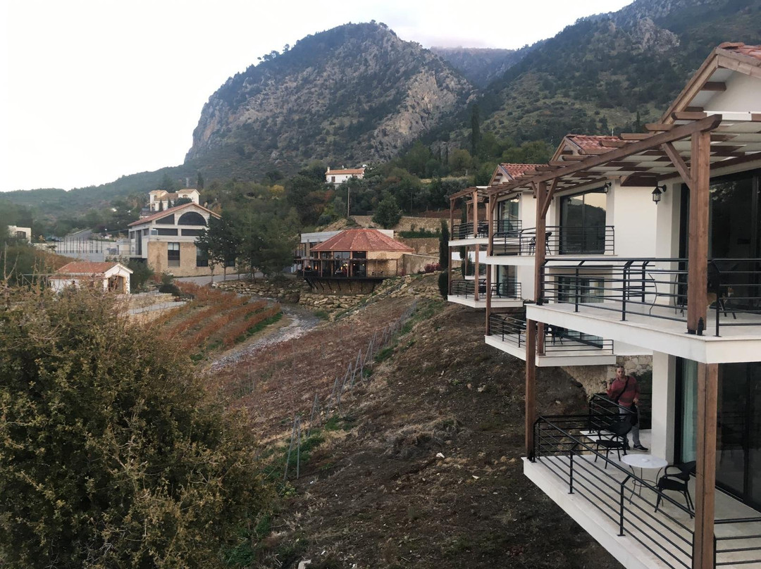 Gillham Vineyard Hotel主图