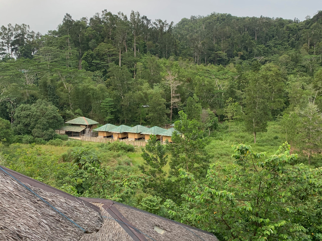 Back Trippers Inn主图