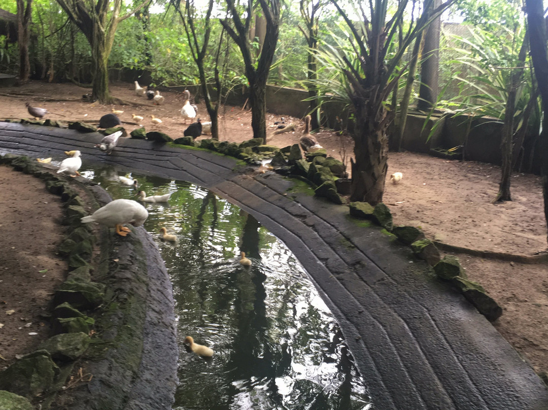 Parque Ecológico A Tribuna-Mongagua必去景点