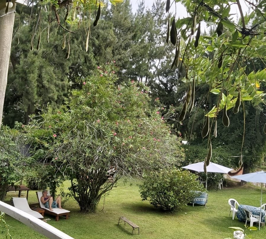 El Portal de las Musas主图