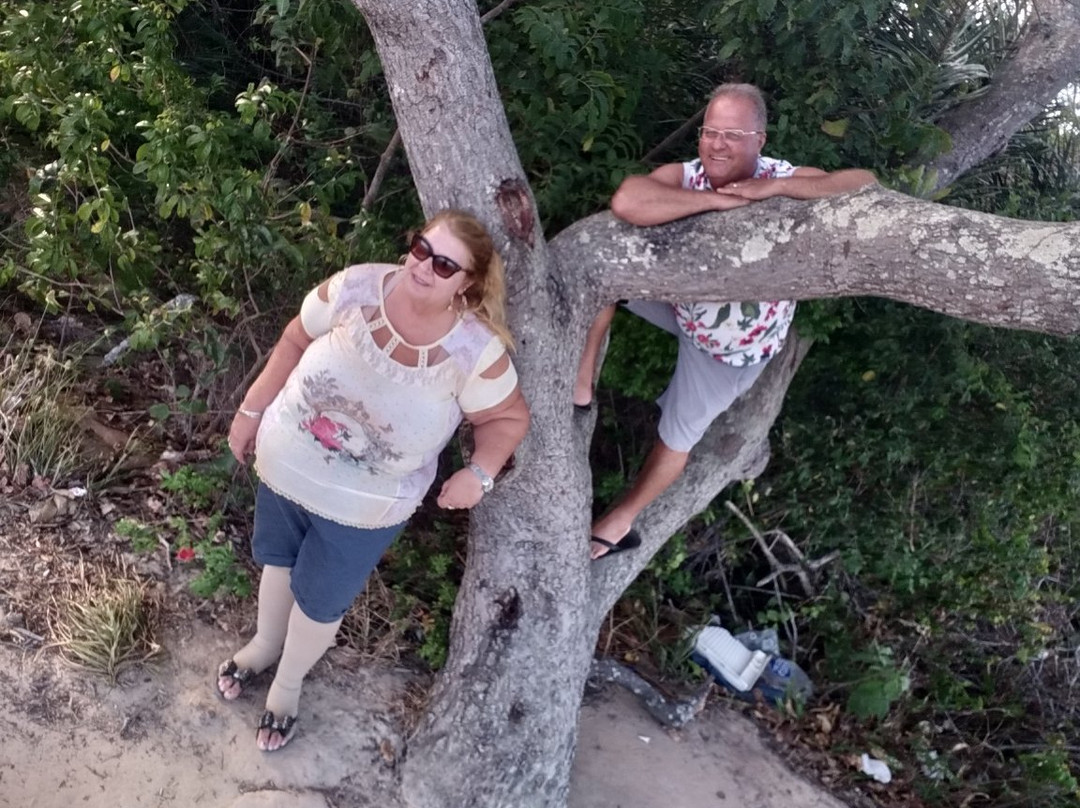 Parque Da Cidade Aracaju-阿拉卡茹必去景点