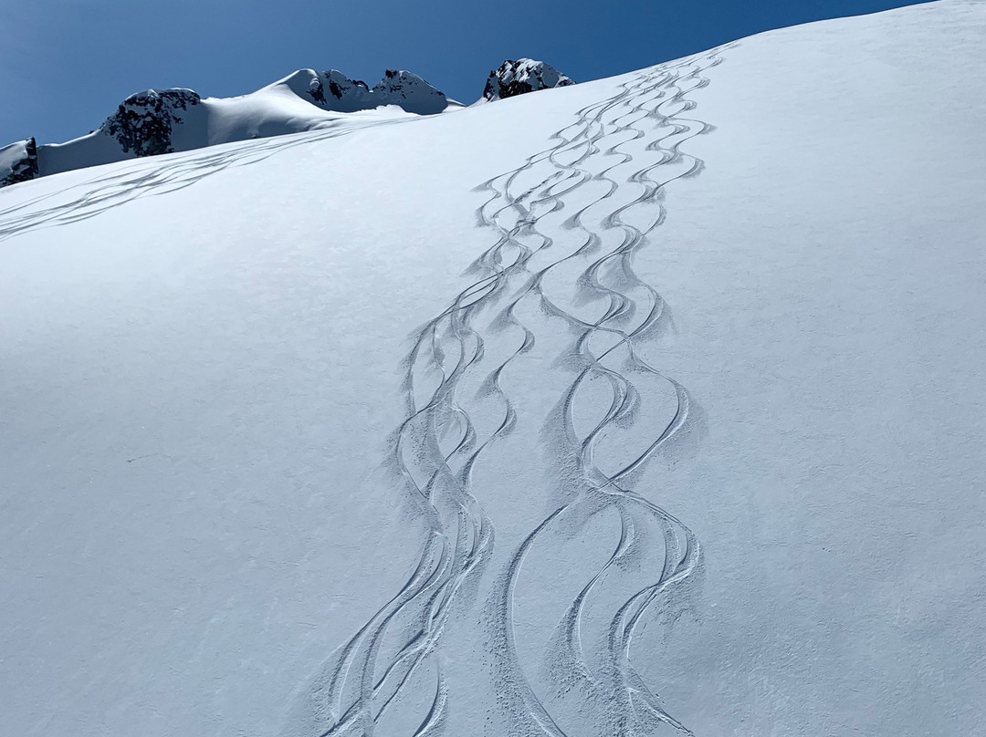 Whistler Heli-Skiing景点图片