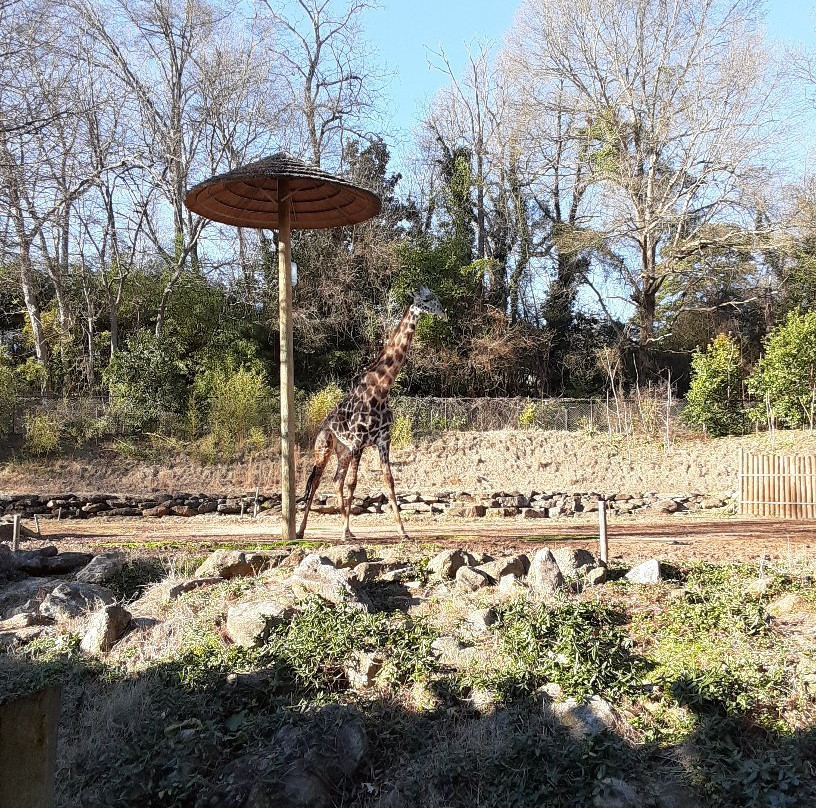 Greenville Zoo景点图片