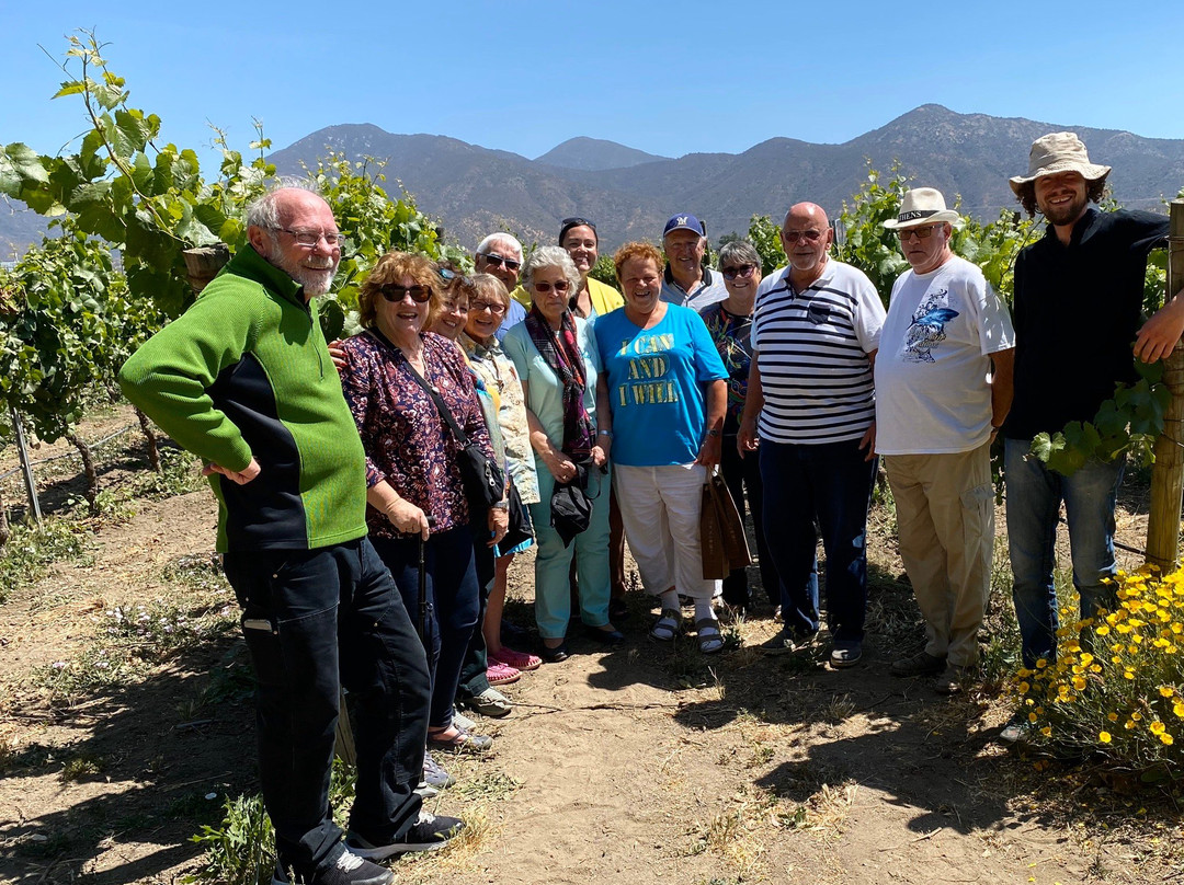 Casablanca Valley Wine Route景点图片