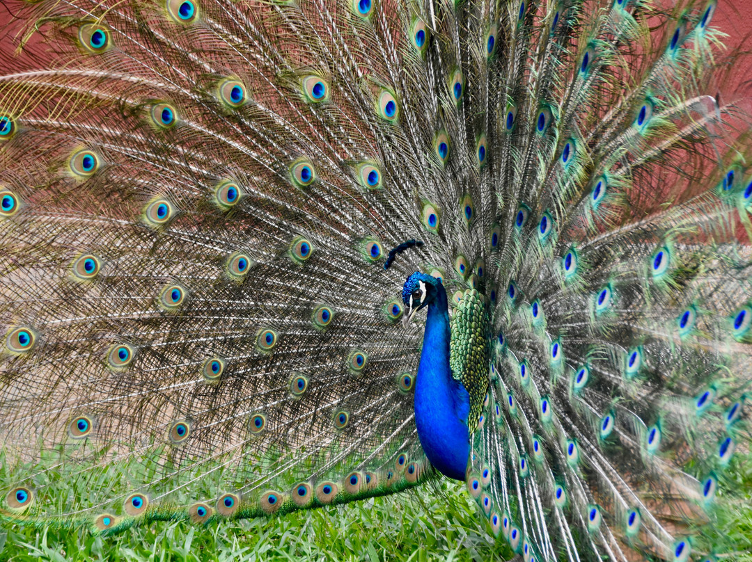 Coconut Grove Lodge主图