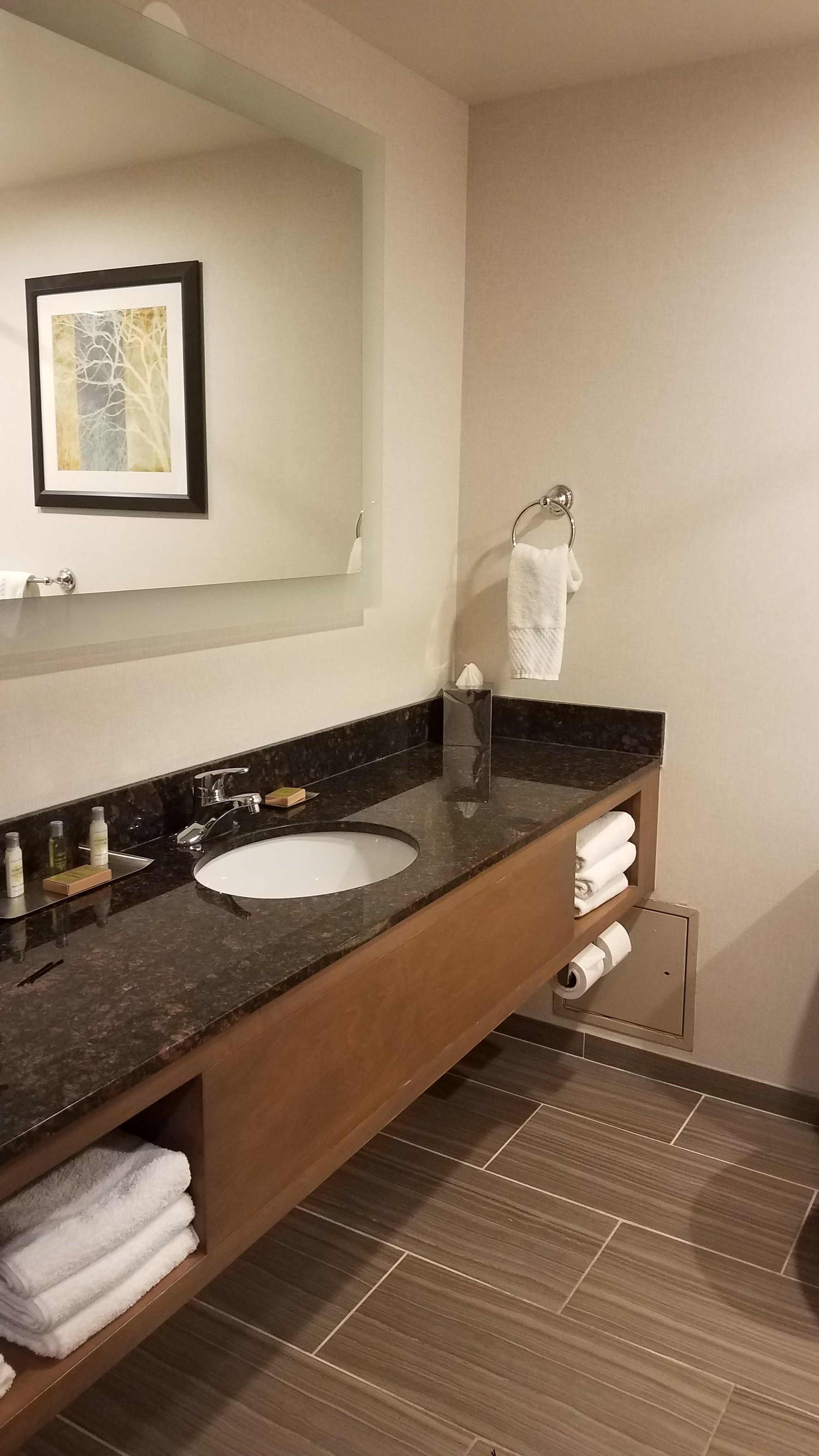 Doubletree By Hilton Pleasant Prairie Kenosha-浴室