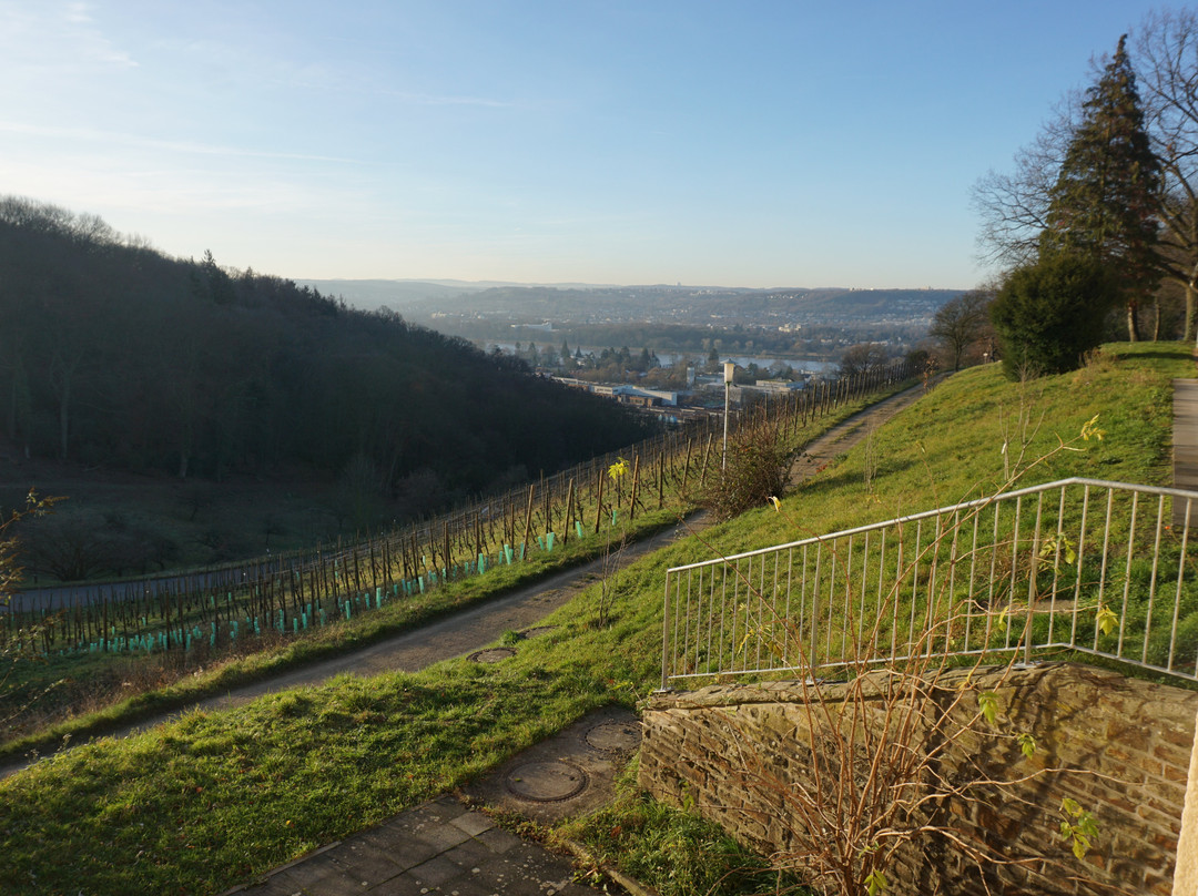 Jufa Hotel Königswinter****主图