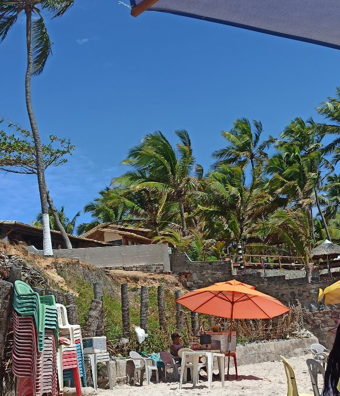 Pontal do Coruripe Beach景点图片