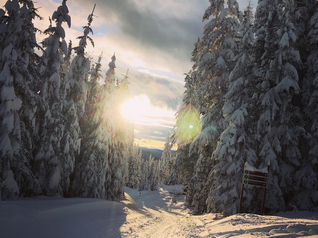 Spirit Lodge at Silverstar主图