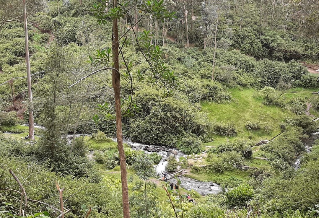 Cascada de  Peguche景点图片