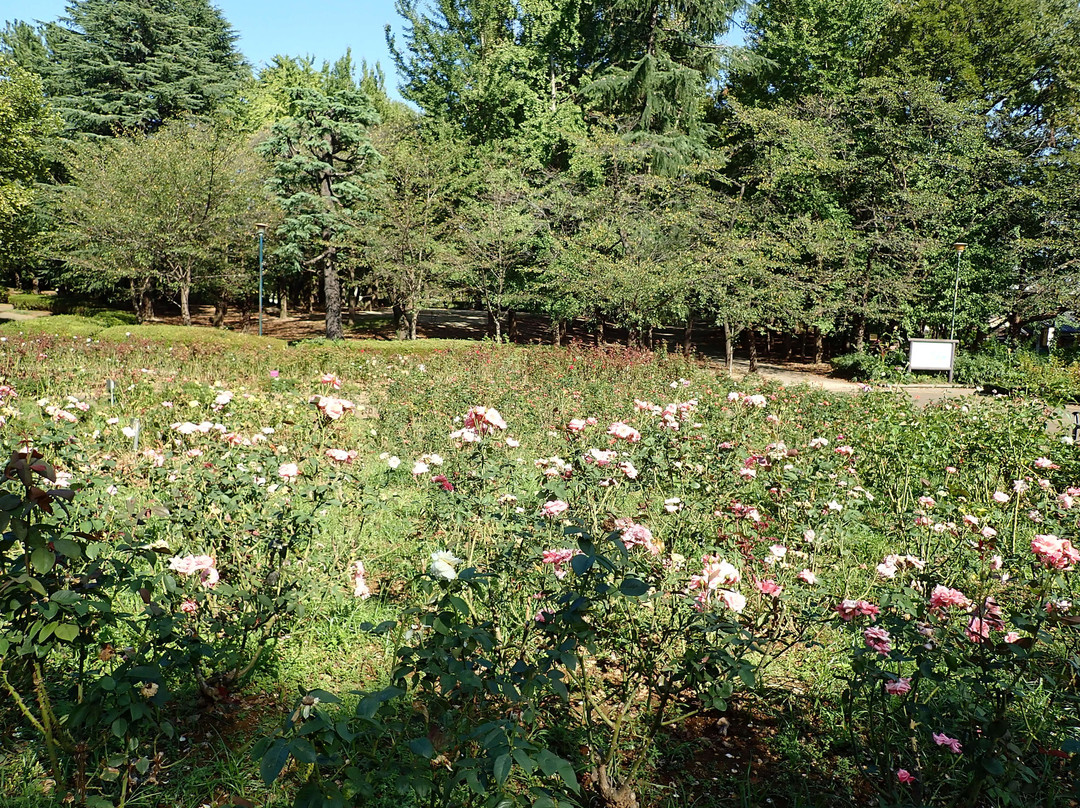 Yono Park-埼玉市必去景点