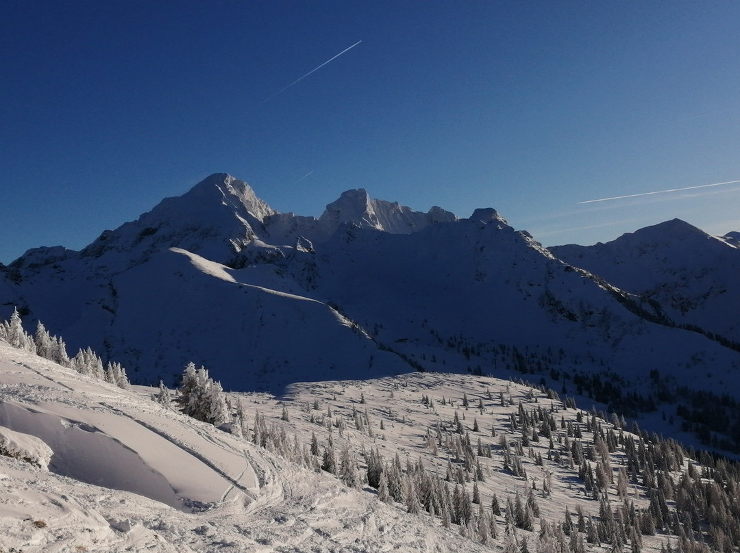 Hauser Kaibling Ski Resort-Haus im Ennstal必去景点