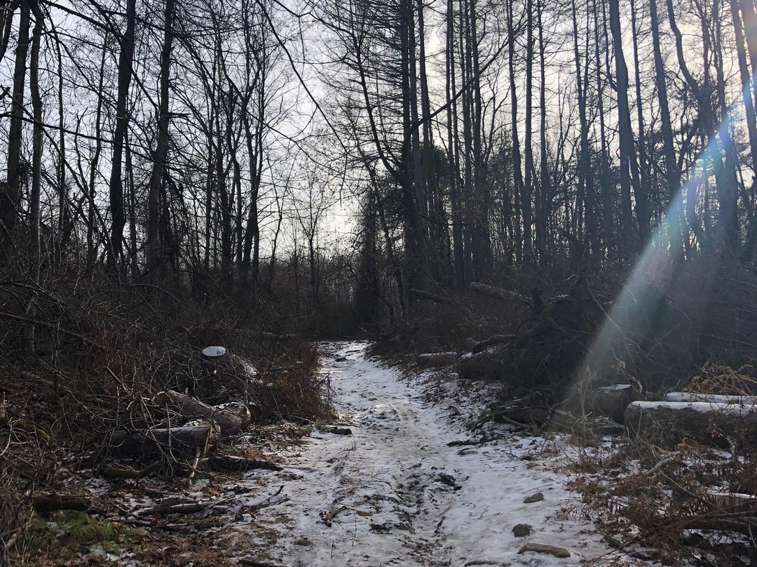 Bear Mountain Reservation-丹伯里必去景点