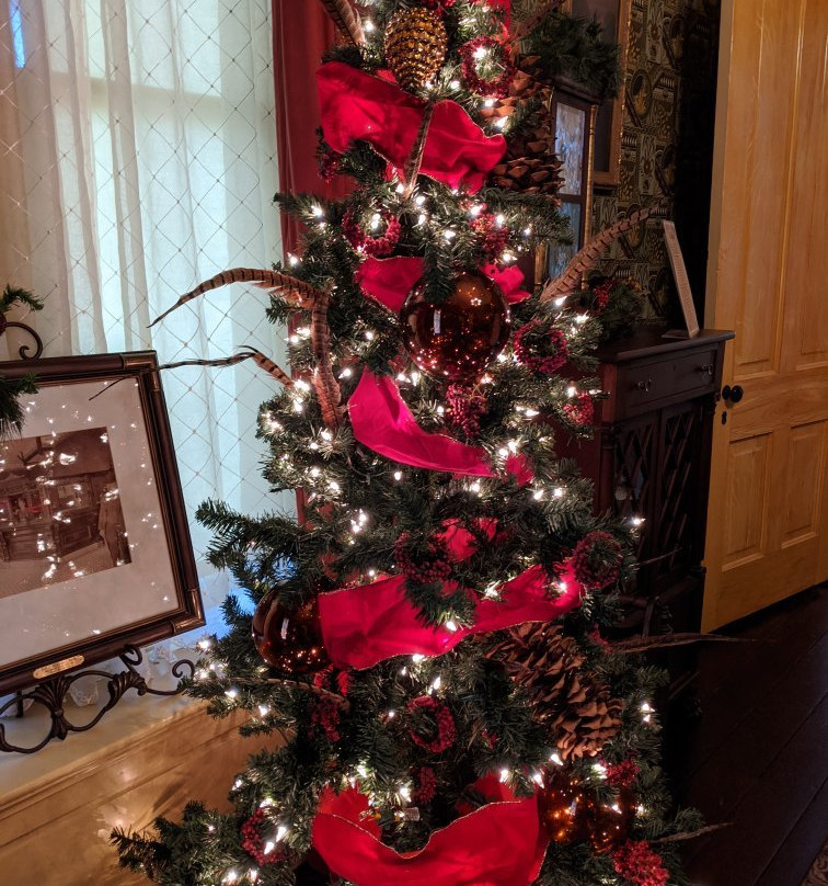 Peel Museum & Botanical Garden-本顿维尔必去景点