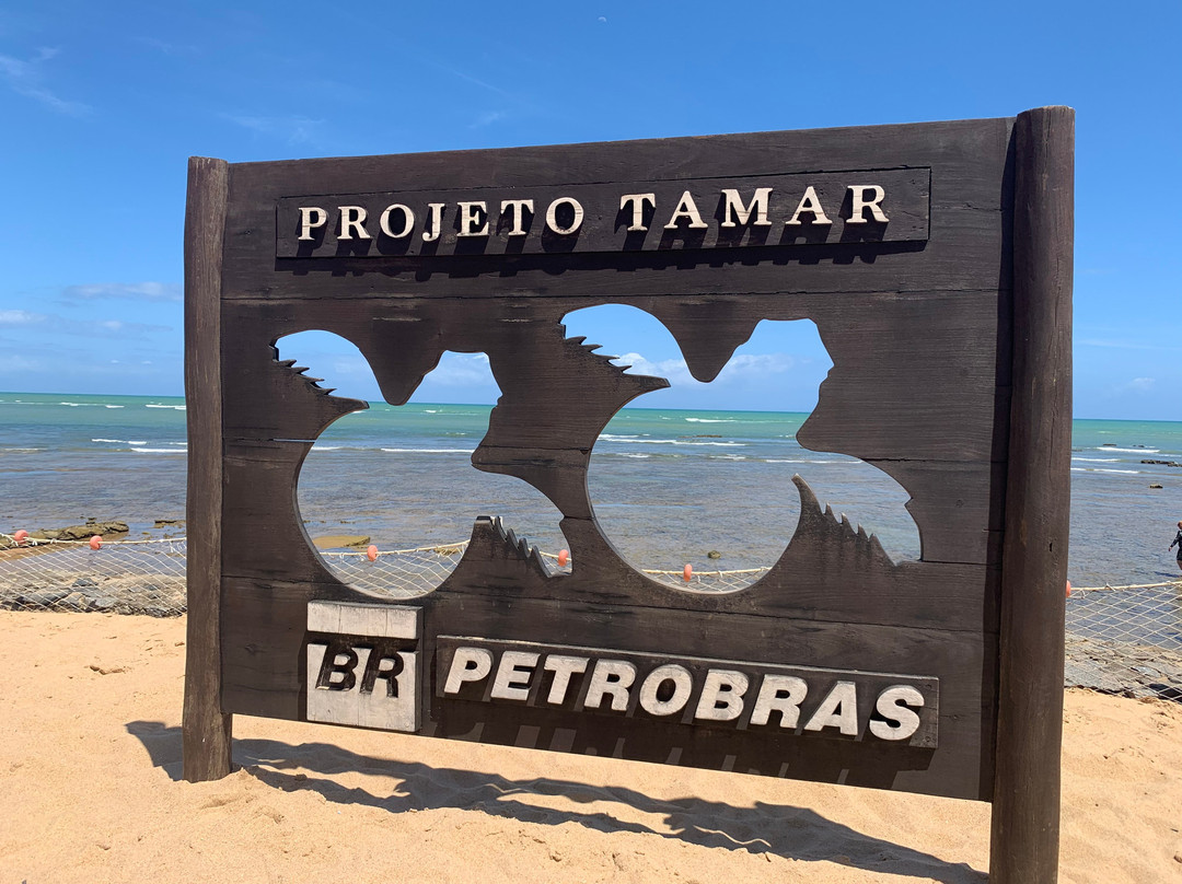 Projeto Tamar景点图片