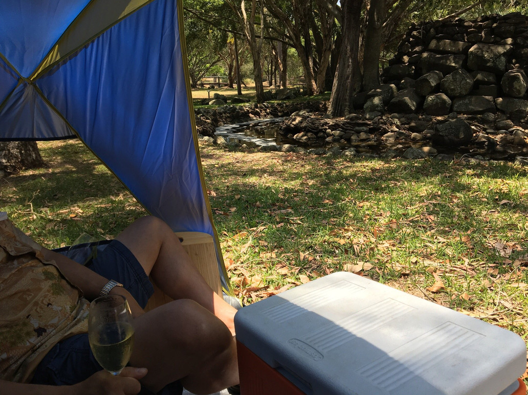 麦金托什岛公园-冲浪者天堂必去景点