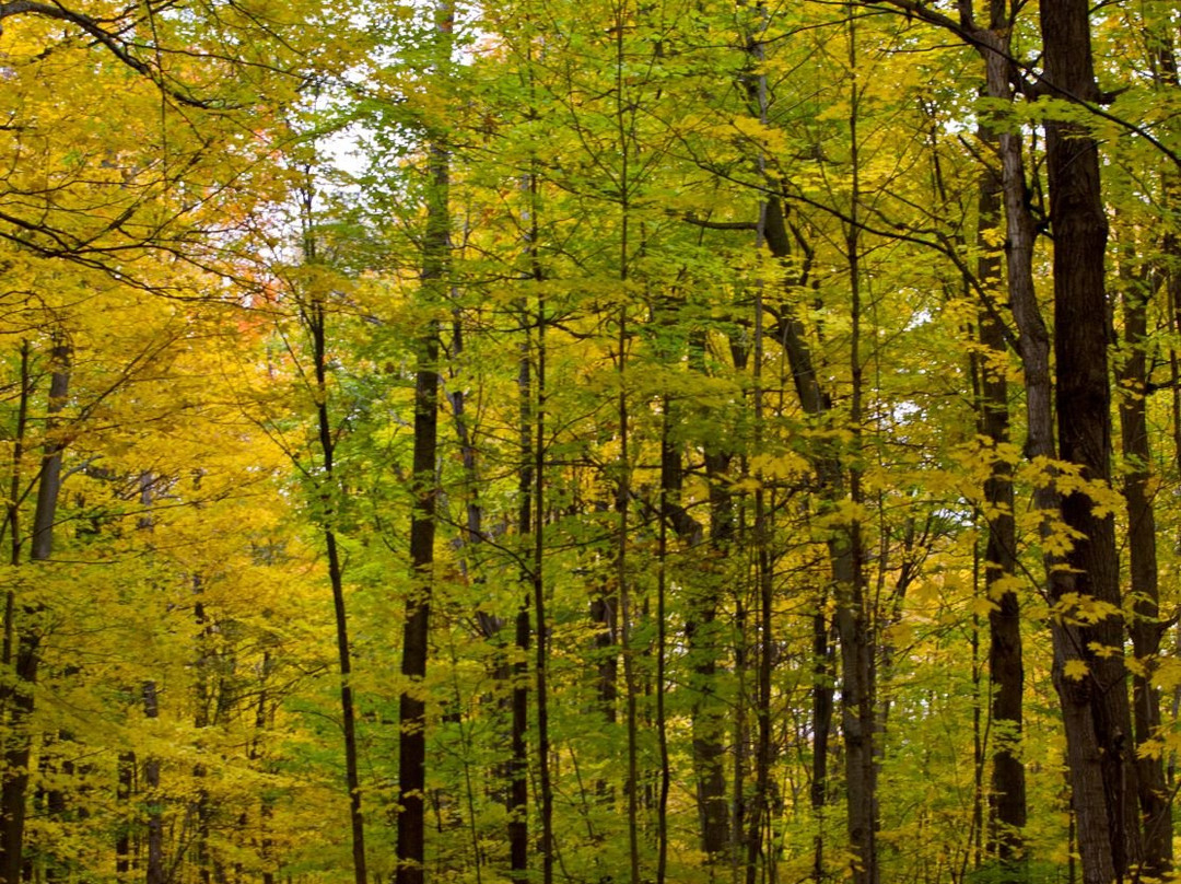 Parc National Du Mont St-bruno-蒙特利尔圣布鲁诺山必去景点