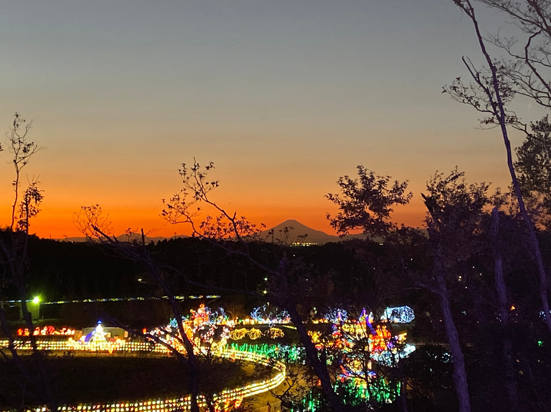 Country Farm Tokyo German Village景点图片