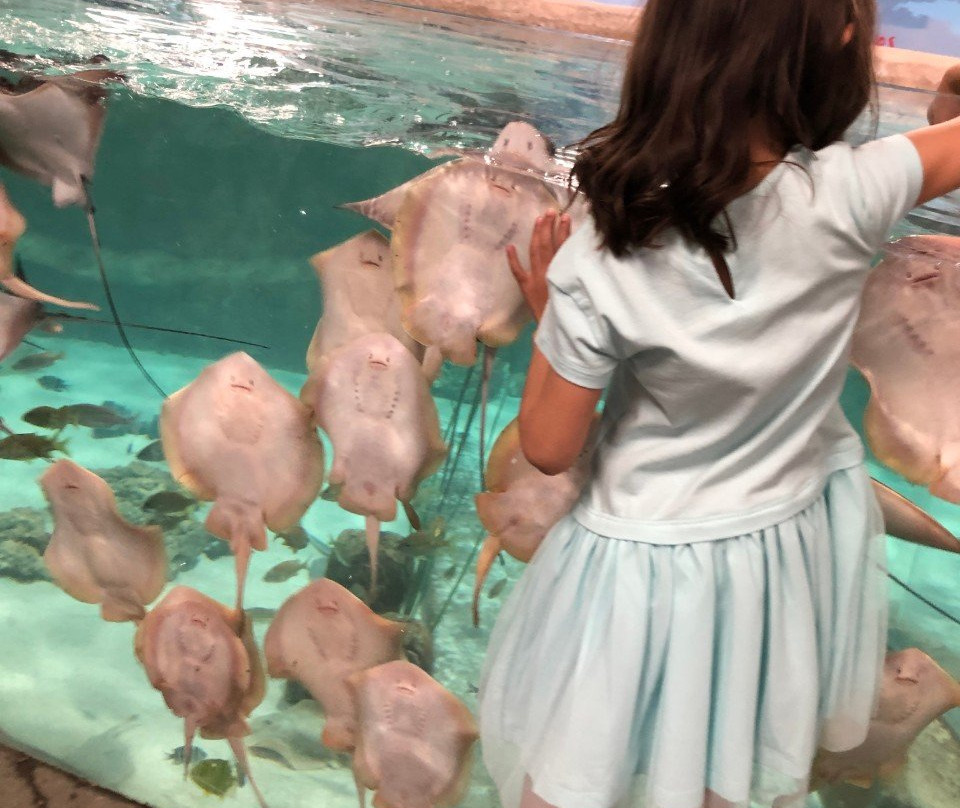 Woodbridge Aquarium & Wildlife Center-伍德布里奇必去景点