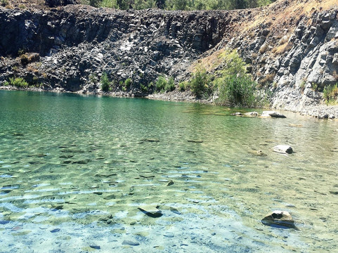 Trackers Excursions, Cyprus-拉纳加必去景点