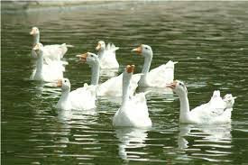 Sarthana Nature Park景点图片