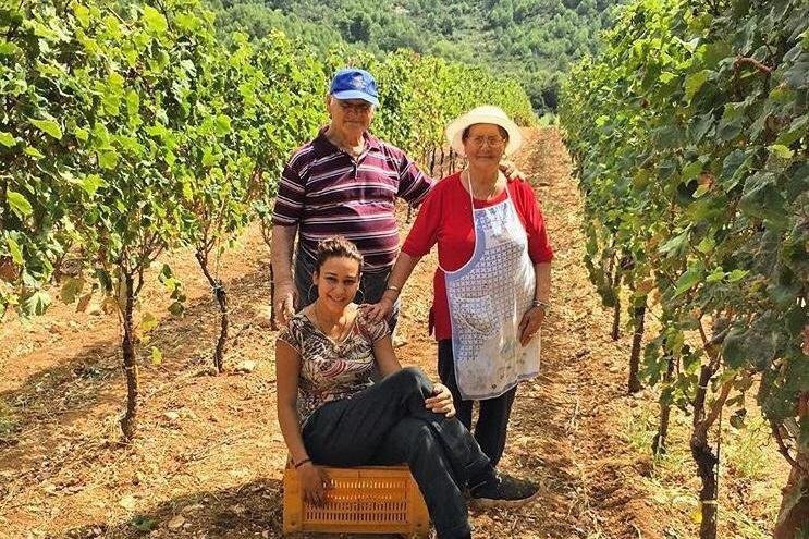 Cantine Merinum-维耶斯泰必去景点