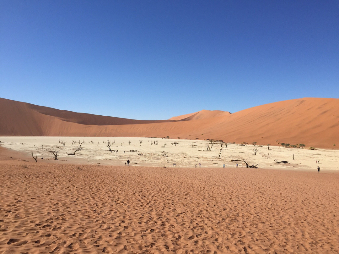 Desert Air景点图片