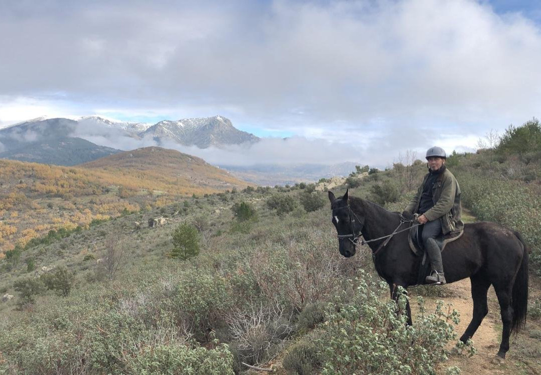 Horse Riding Madrid -Jarahonda-Collado Mediano必去景点