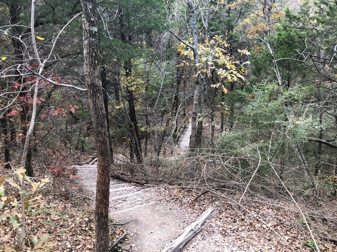Cedar Ridge Preserve managed by Audubon Dallas.-达拉斯必去景点