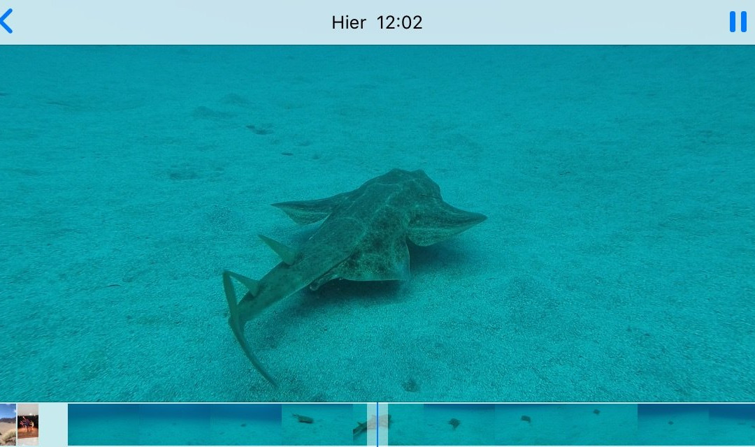 Coral Sub-特纳里夫必去景点