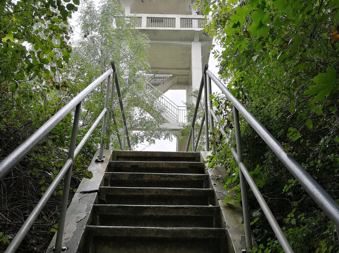 Lookout tower Městská hora景点图片
