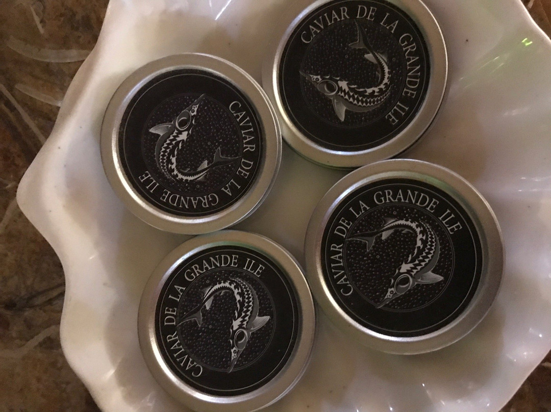 Domaine De L'Ermitage主图