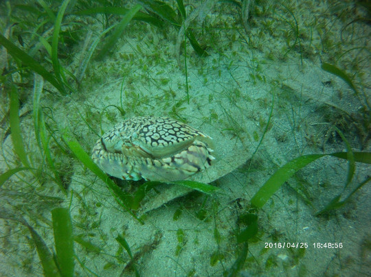 Caribe Aquatic Adventures-圣胡安必去景点