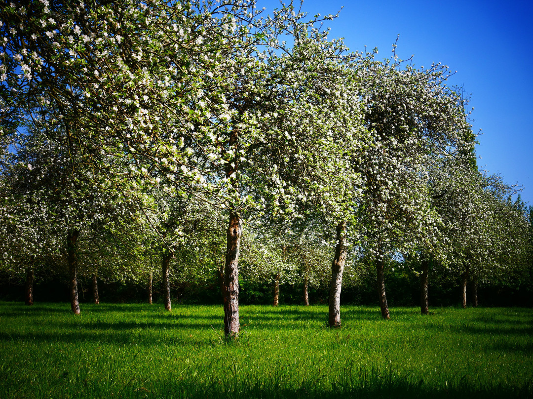 Les Vergers de Kermao-Gouesnach必去景点