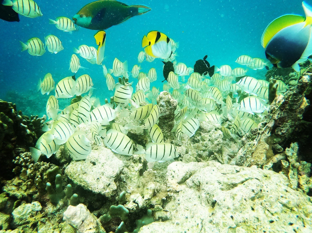 Aquatic Water Sports-Thulusdhoo Island必去景点