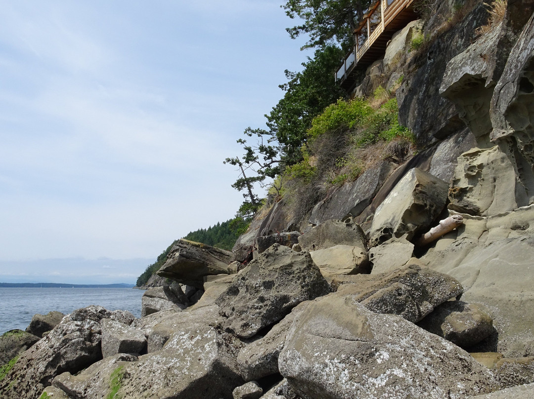 Treehouse Bed & Breakfast主图