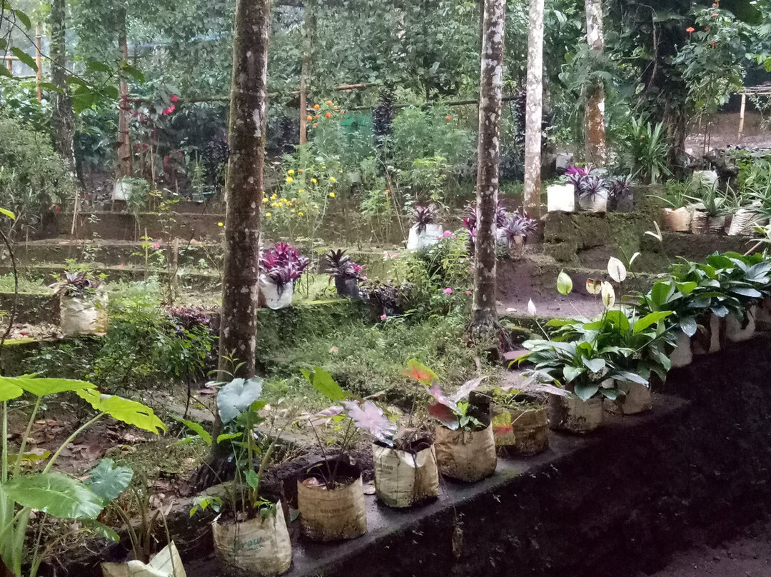 Bamboo Creek Resort主图