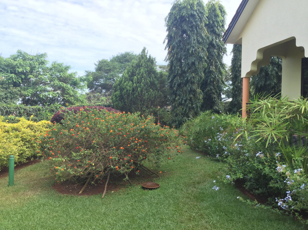 BlueMonkey Guesthouse主图