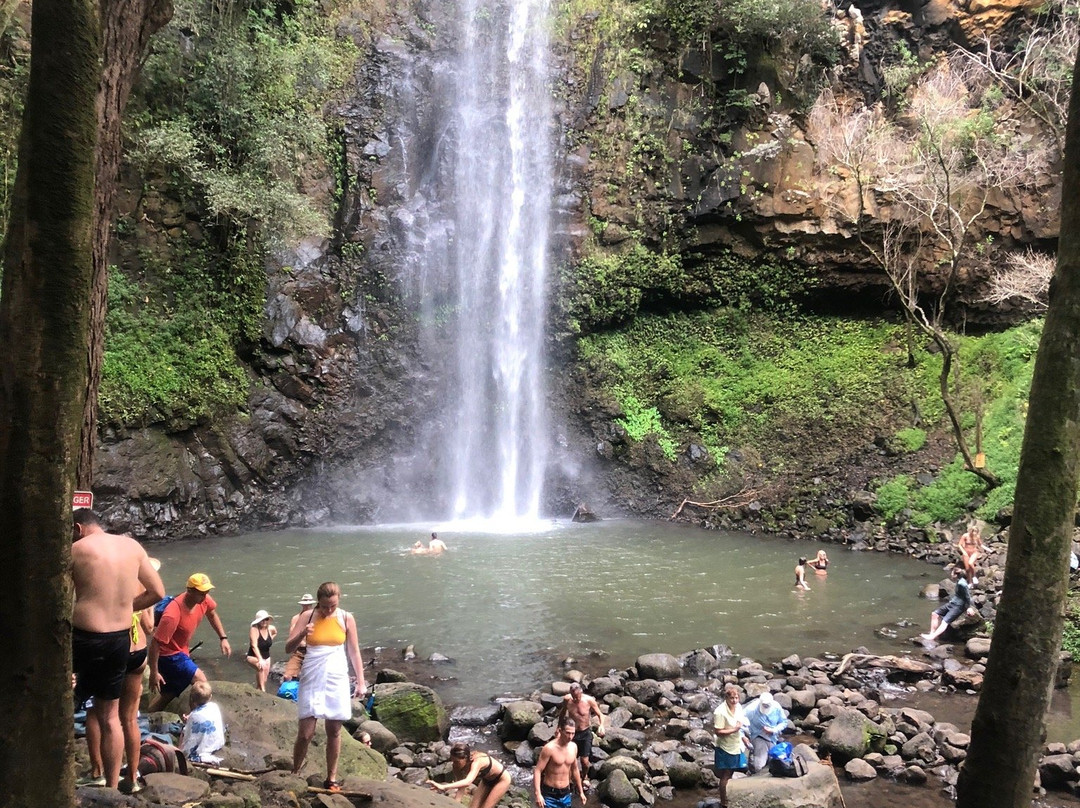 Secret Falls Trail-Wailua必去景点
