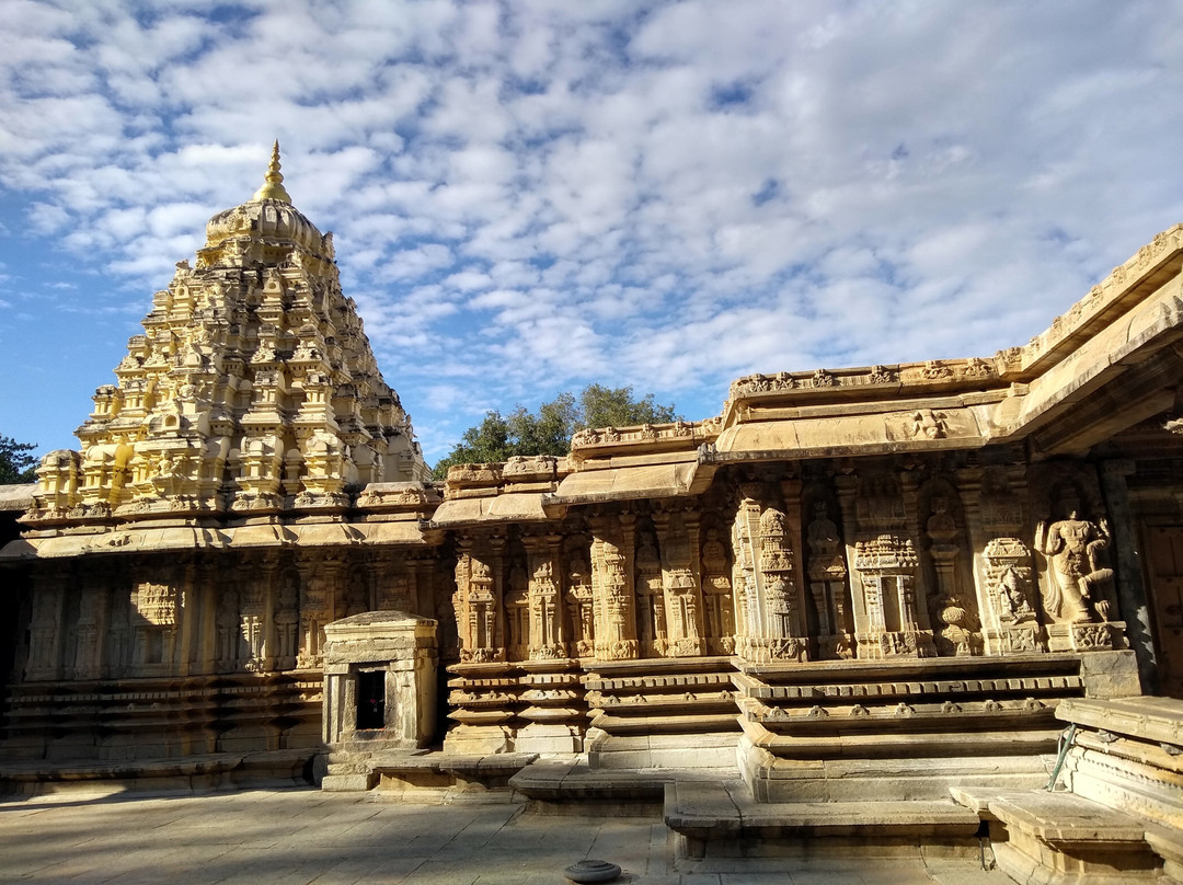 Vaidyanatheshwara Temple景点图片