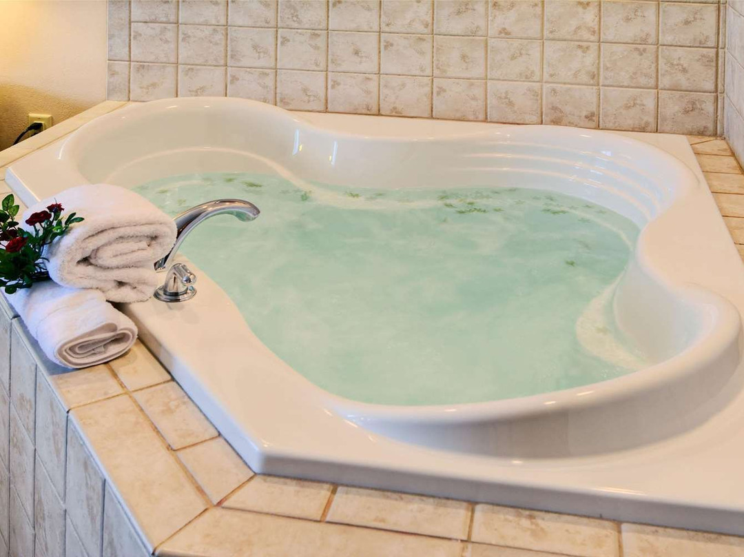 斯普林菲尔德希尔顿花园酒店主图