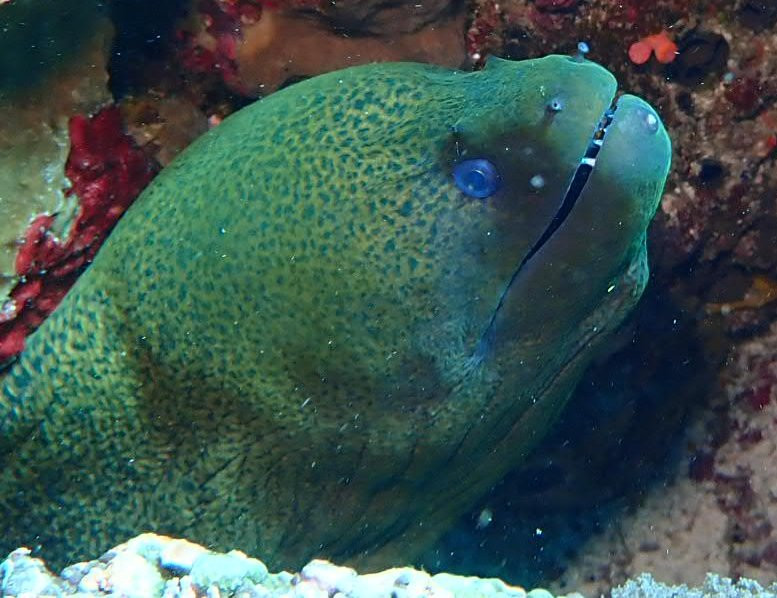 Nusa Penida Watersport-珀尼达岛必去景点