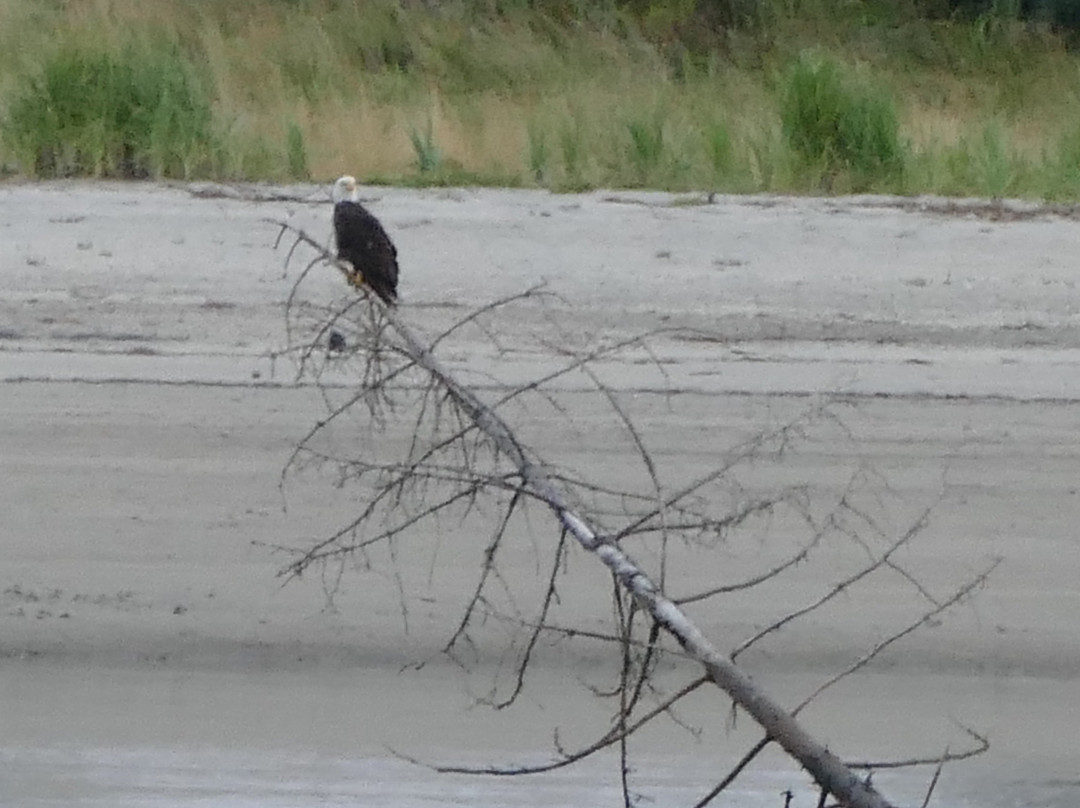 Eagle Beach-朱诺必去景点