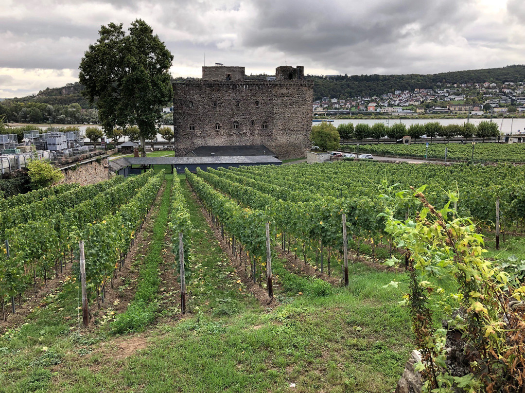 Rheingau Wine Museum Broemserburg Castle-吕德斯海姆必去景点