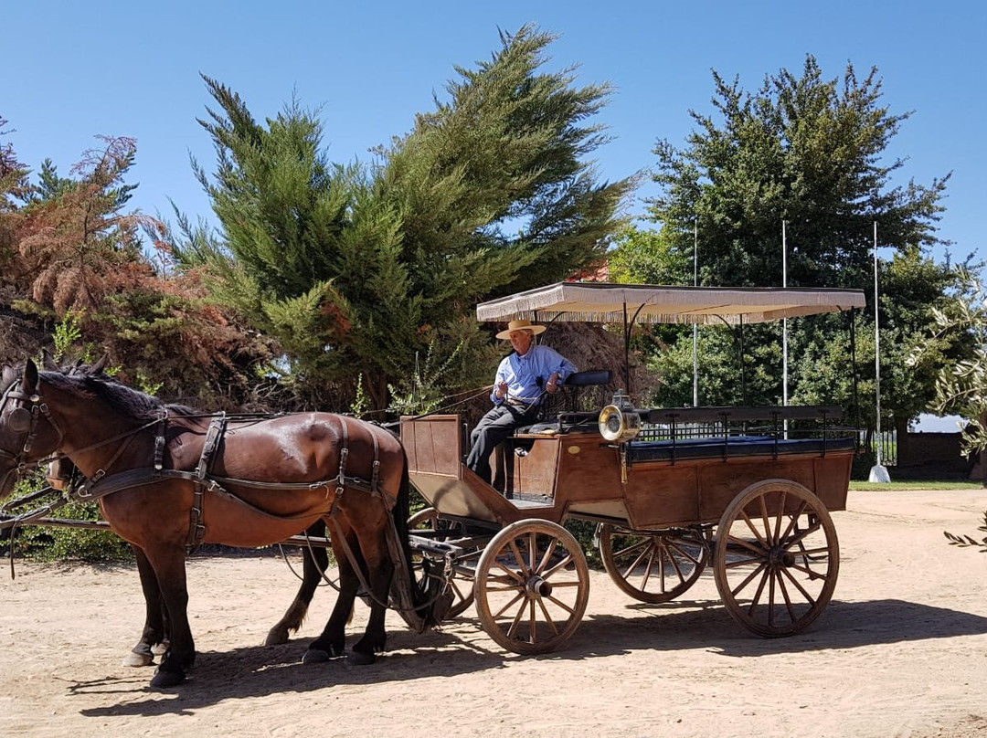 Casablanca Valley Wine Route-卡萨布兰卡必去景点