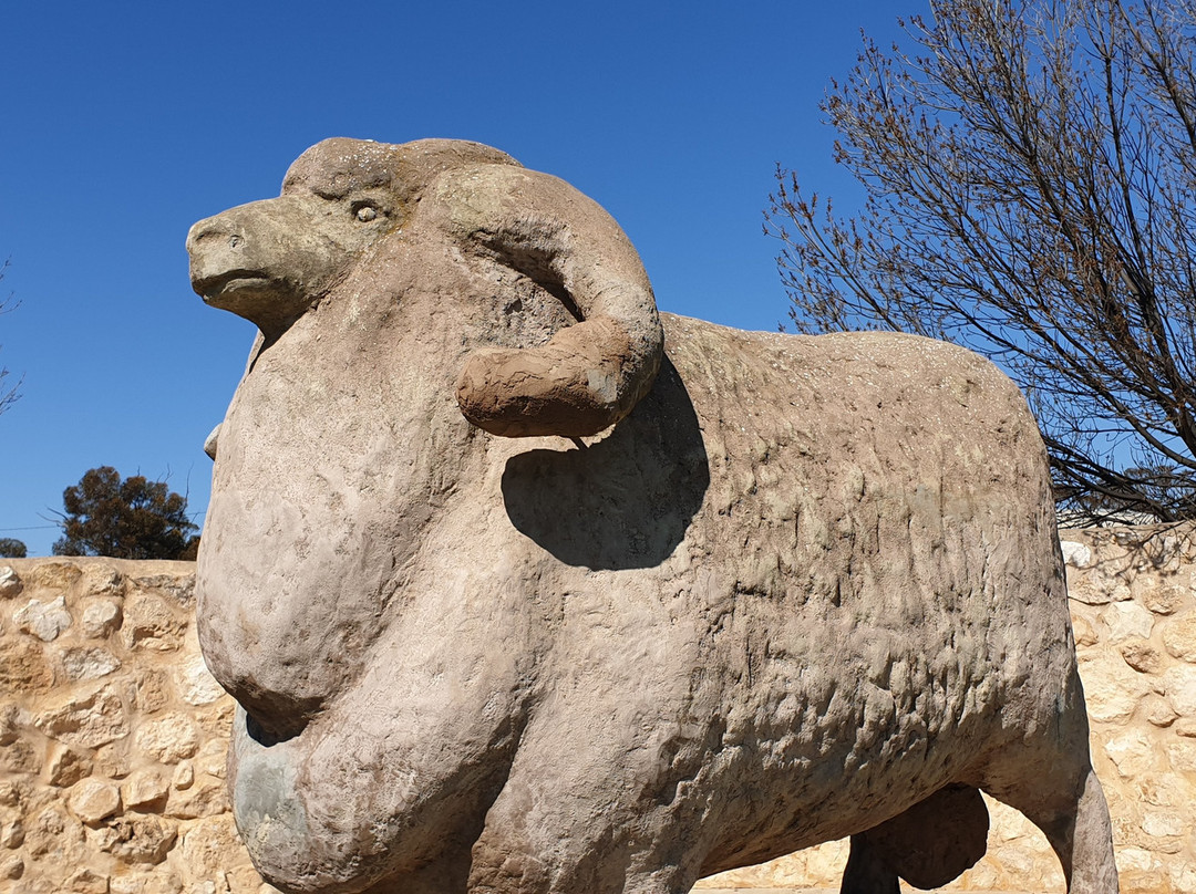 Karoonda Historic Walks-Karoonda必去景点